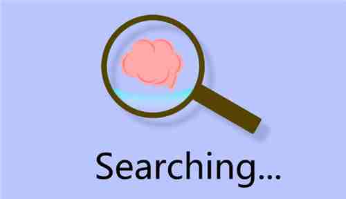 大荆系统平台开发_SEO真的很重要吗？您的网站SEO排名更高？是什么让你的百度排名更好？排名的秘诀是什么？小编与一些网站SEO优化的一些元素讨论。